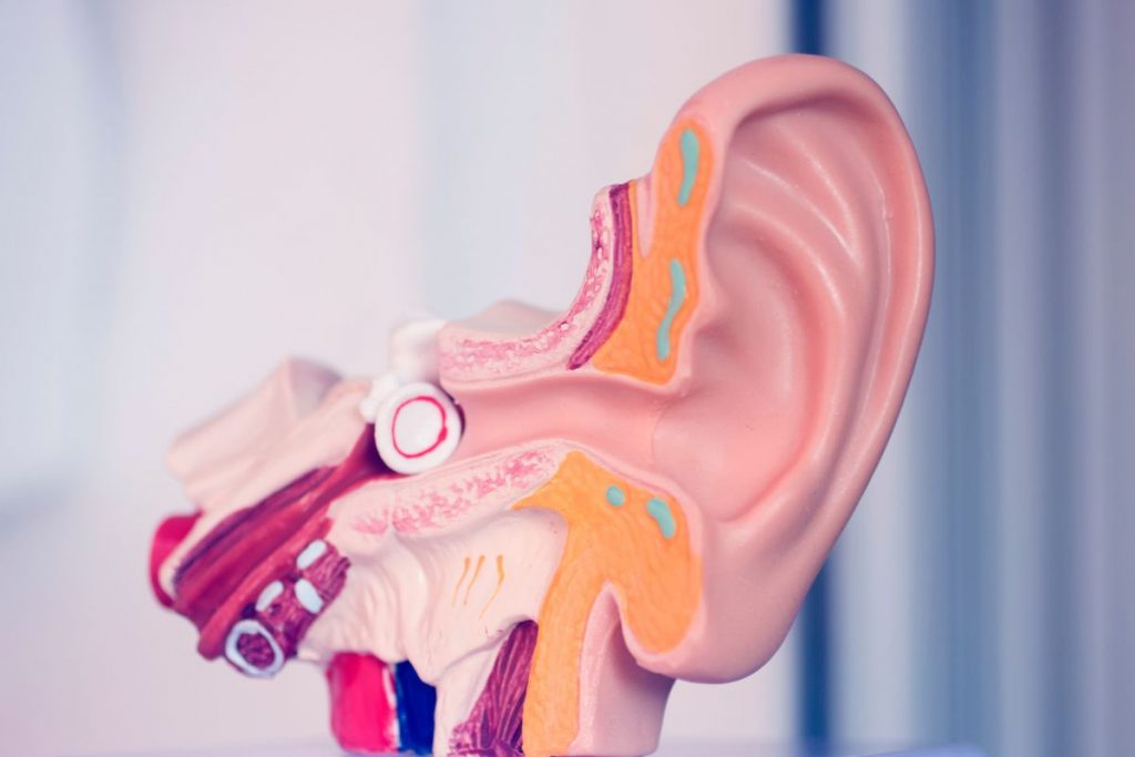 Pathophysiology Conductive vs. Sensorineural Hearing Loss