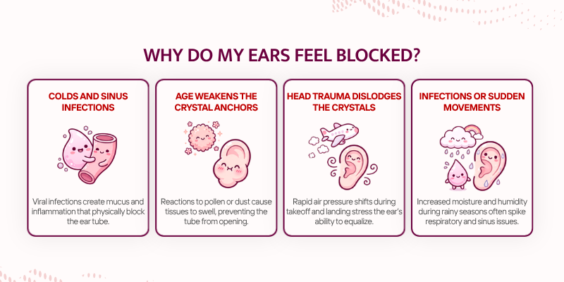 Eustachian Tube Dysfunction Treatment | Why do my ears feel blocked? - EarSuregeon