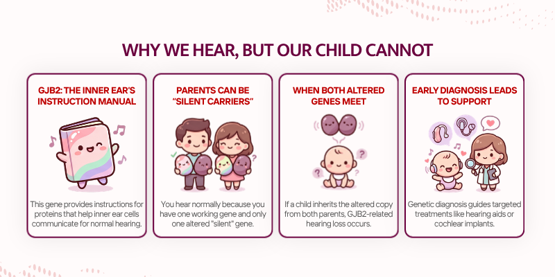 GJB2 Gene and Childhood Hearing Loss - Why We Hear but Our Child Cannot